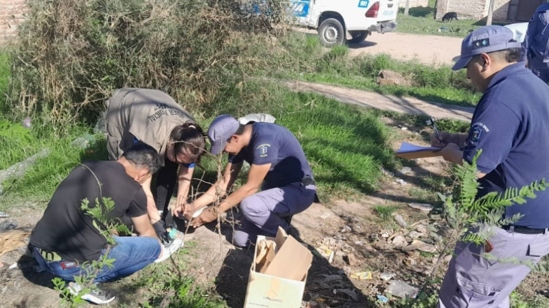 Macabro hallazgo en Quitilipi: encuentran un cráneo en un basural
