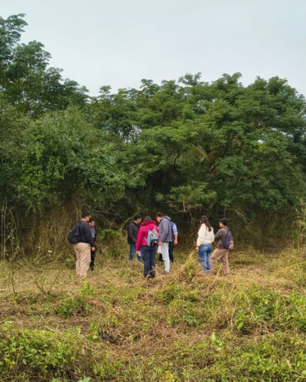 Enseñanza agropecuaria (4)