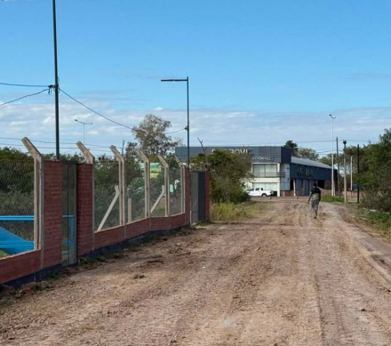Defensa Liborsi (1)