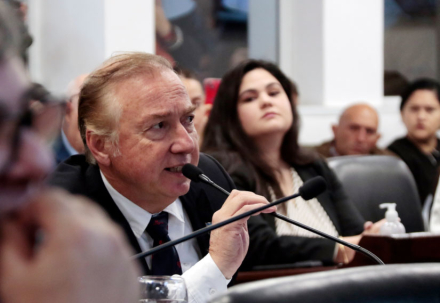 diputados