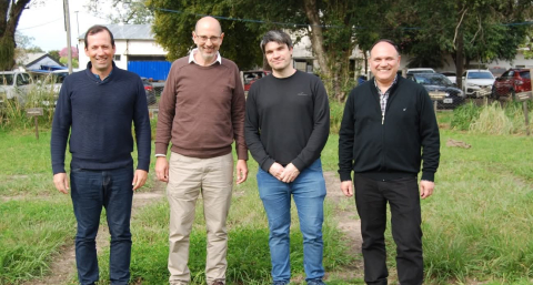 Combatir malezas sin dañar las pasturas: un estudio del NEA abre una alternativa