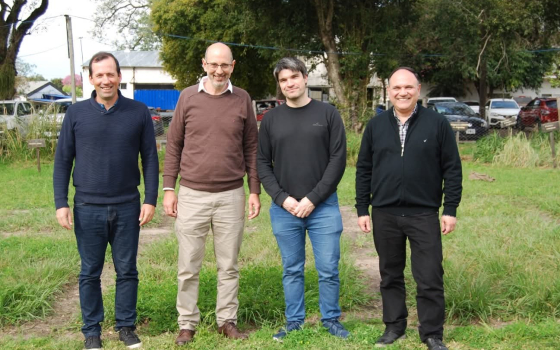 Combatir malezas sin dañar las pasturas: un estudio del NEA abre una alternativa