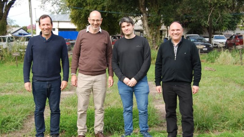 Combatir malezas sin dañar las pasturas: un estudio del NEA abre una alternativa