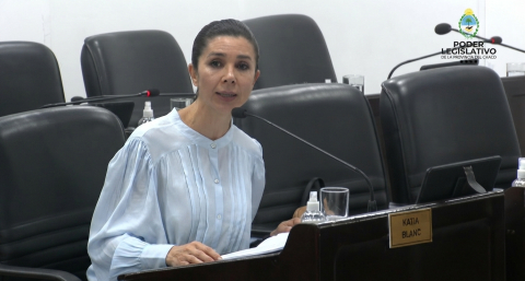 Katia Blanc fue el "número 17" : la Legislatura aprobó la suspensión de las PASO