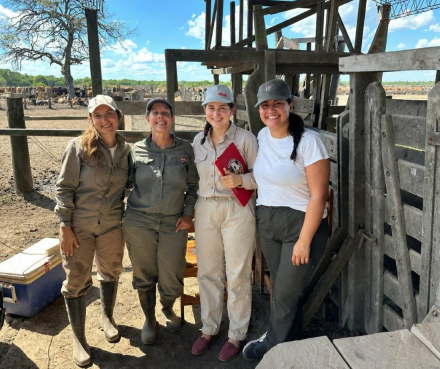 Pastori-tapa