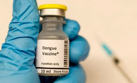 dENGUE 2