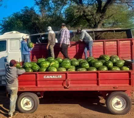 Sandias