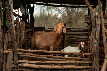 muestra fotográfia (1)