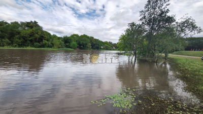 Especialistas prevén lluvias intensas y crecida de los ríos