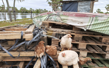 Cómo se vive la creciente del Paraná en localidades costeras del Chaco