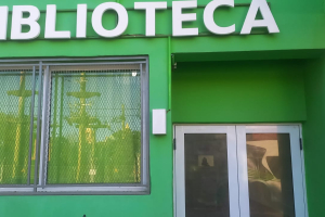 El servicio bibliotecario de la UEGP N° 145 Despertares comienza su recorrido institucional